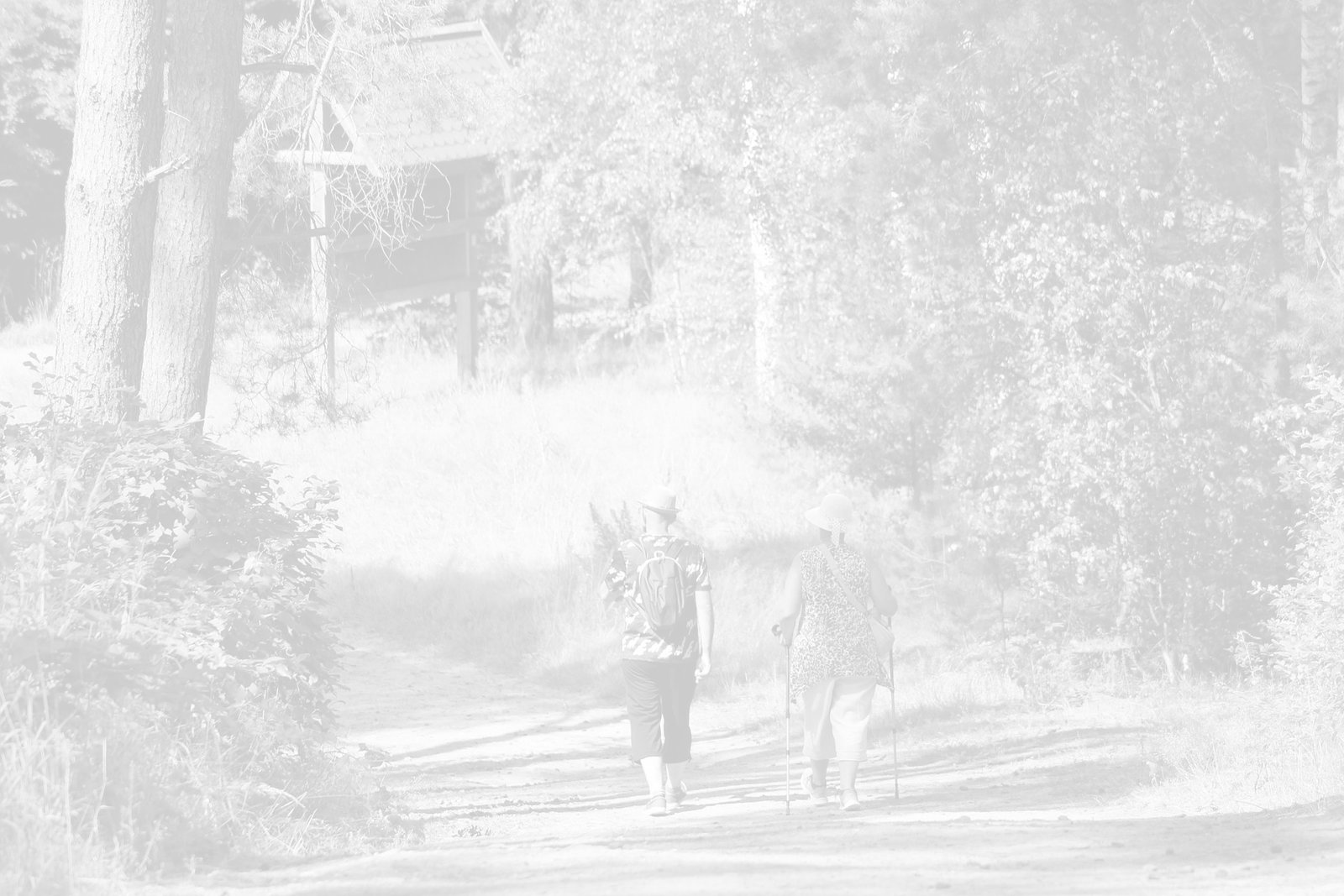 Fisio Run 2